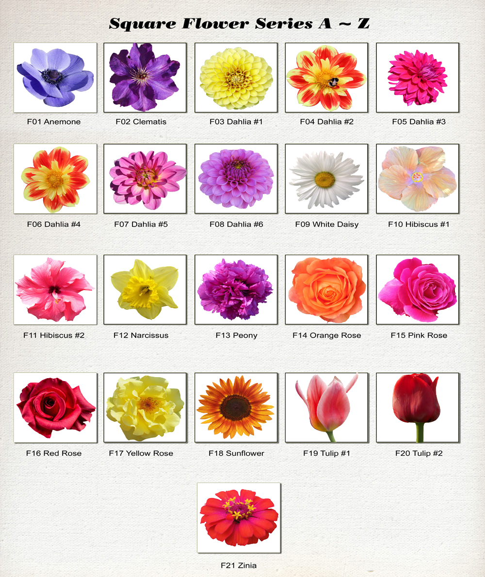 Flower series